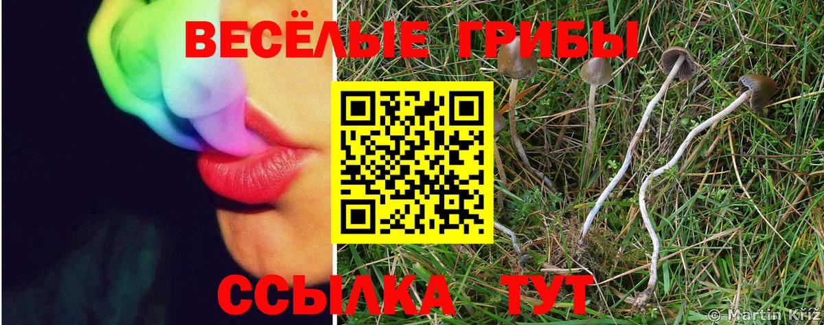 Галлюциногенные грибы Psilocybe  Галлюциногенные грибы ЛСД  Санкт-Петербург  Вход с VPN 